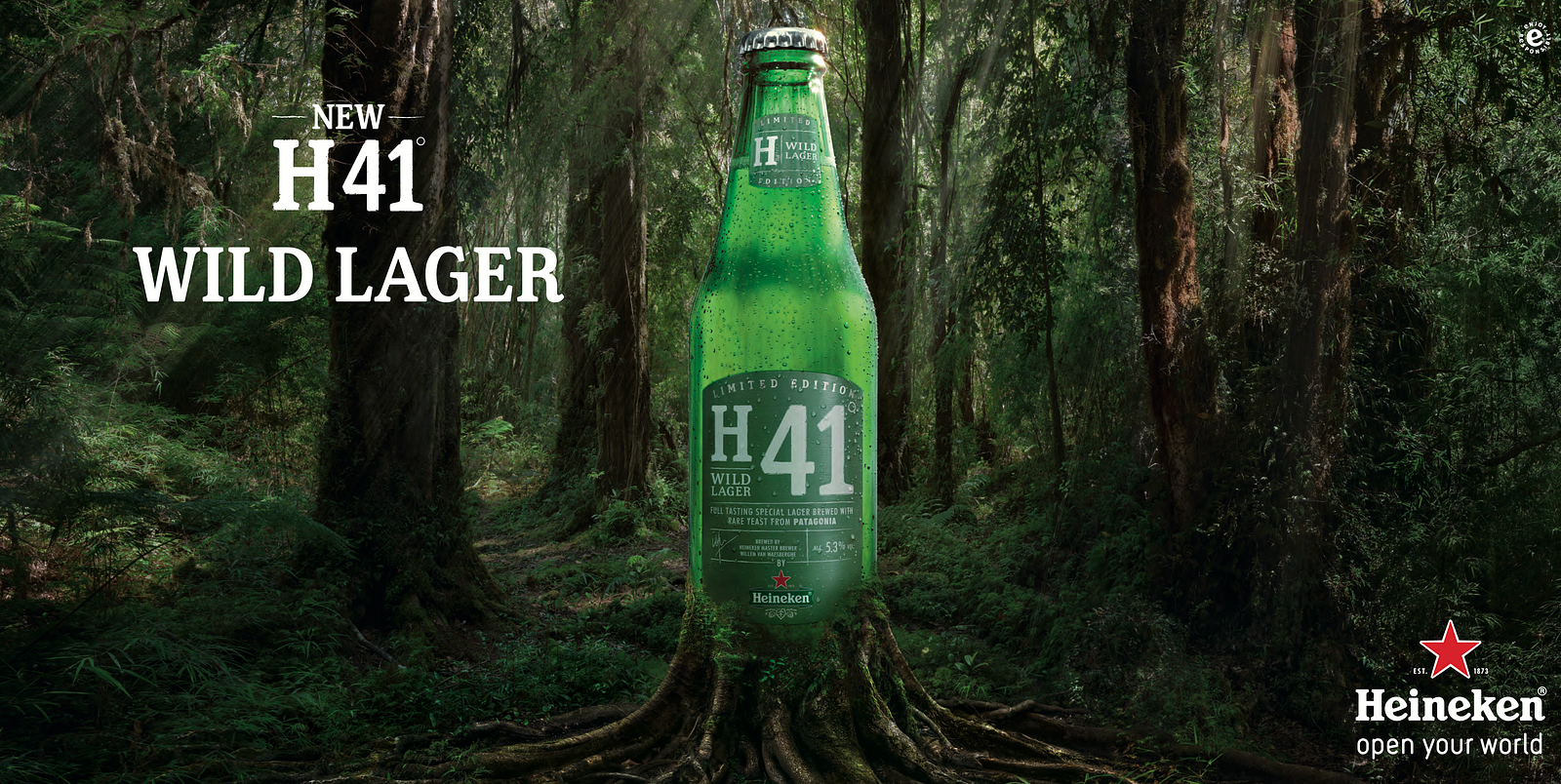  Heineken H41 example. Beer with a “wild” yeast (and related to its own famous yeast) found in Patagonia. 